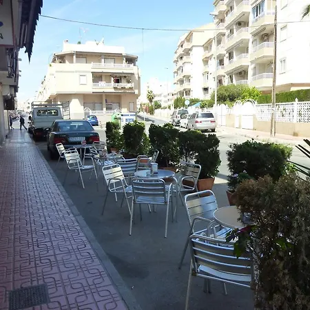 The Cozy Apartment *