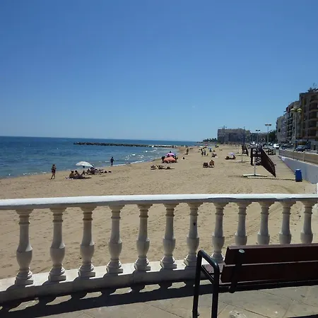 The Cozy Apartment *